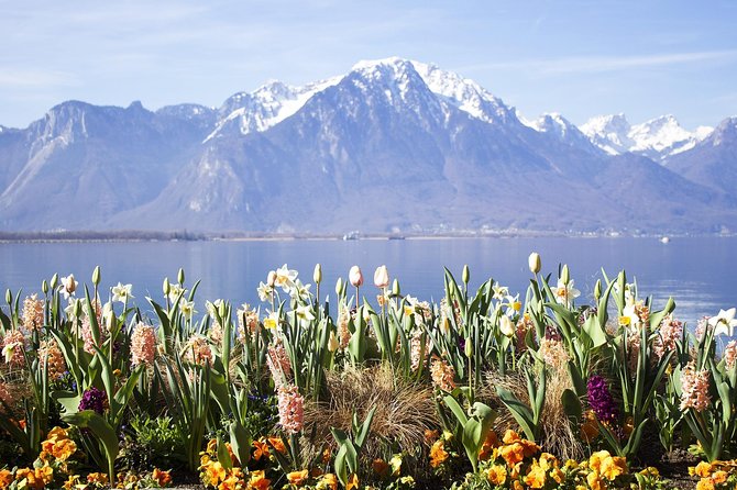 Montreux - Private Walking Tour - Climbing to Saint-Vincent and the Old Town