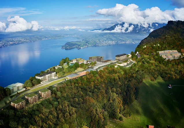 Mount Bürgenstock Independent Tour from Lucerne - The views from 3,658 feet