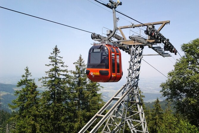 Mount Pilatus off-season Small Group Tour from Basel - Key points at a glance