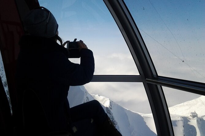 Mount Pilatus Private Tour from Basel off-season - Is $630.08 per person good value?