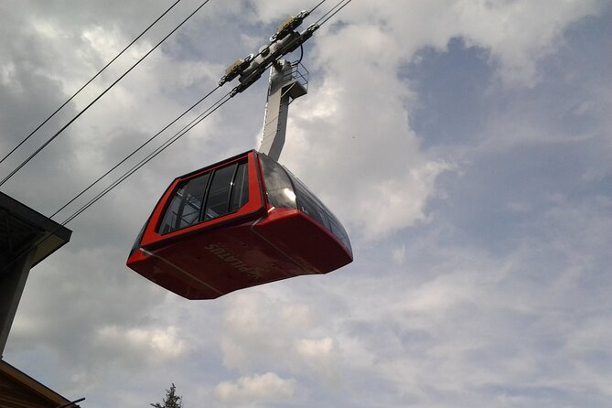 Mount Pilatus Small Group off-season Day Trip from Luzern - The Kriens Gondola Route to Fräkmüntegg
