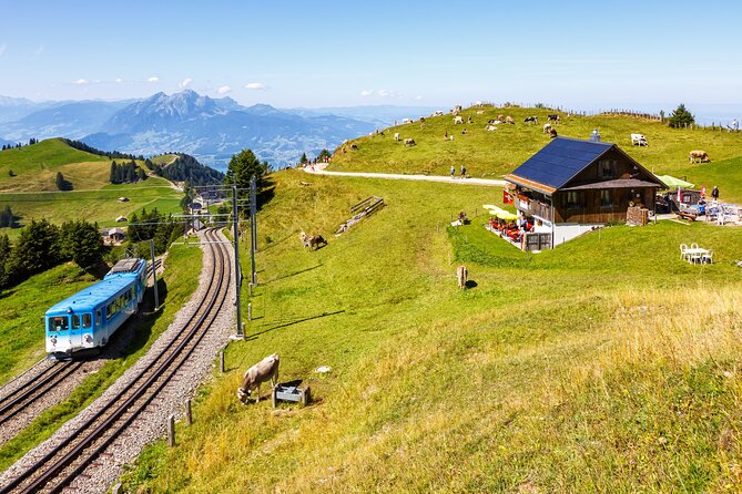 Mount Rigi: A Scenic Day Trip to the Queen of the Mountains - The cable car to Weggis changes the view again