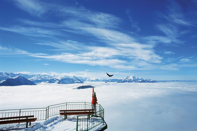 Mount Rigi Day Ticket - Families, hikers, and less active visitors