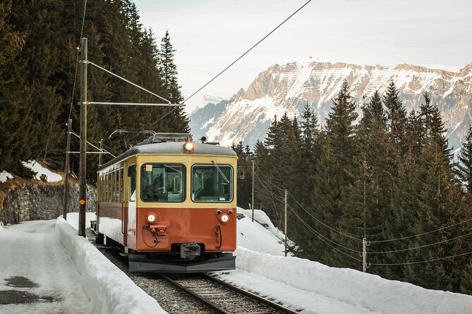 Mountain Majesty: Small Group Tour to Lauterbrunnen and Mürren - Walking options and the value of free time