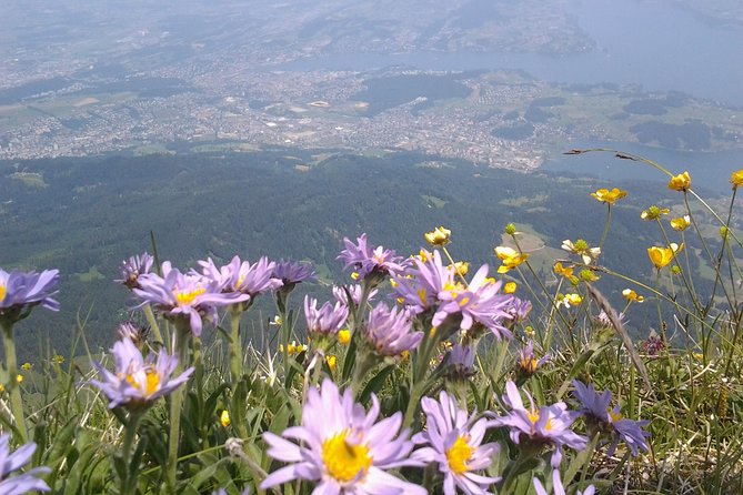 Mt. Pilatus Golden Roundtrip Private Day Trip from Basel - Down by gondola through Fräkmüntegg
