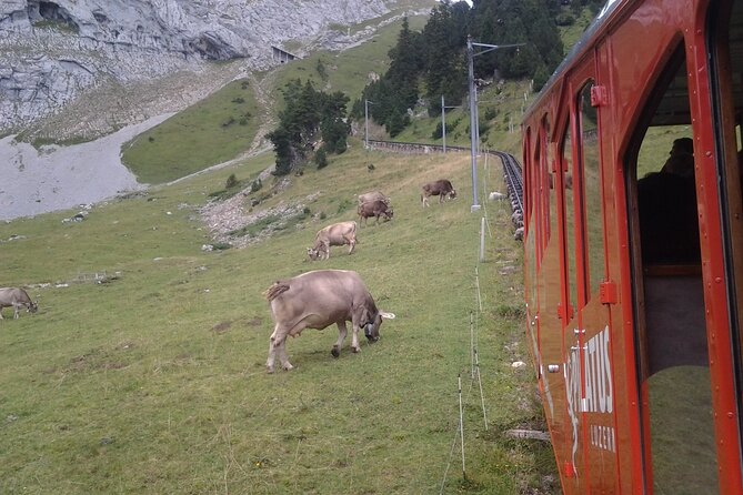 Mt. Pilatus Golden Roundtrip Small Group Day Trip from Lucerne - The cableway descent through Kriens