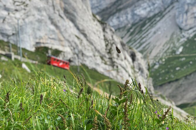 Mt. Pilatus with Lake of Lucerne Cruise Private Tour from Lucerne - Lake Lucerne brings the day back to a gentler pace