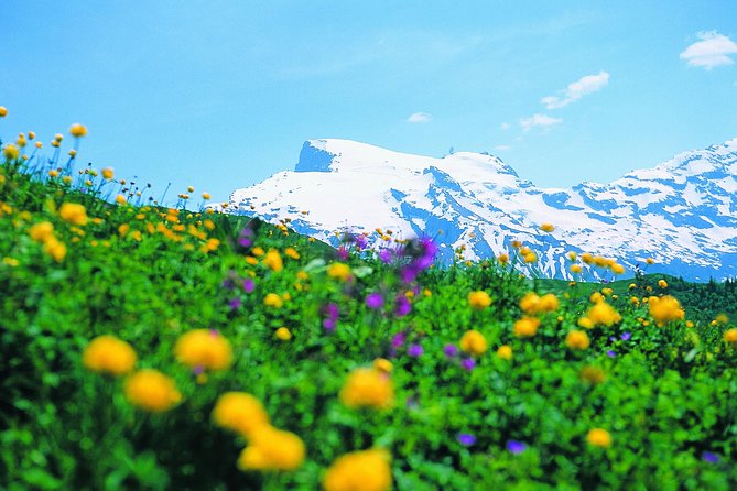 Mt Titlis Glacier Paradise Tour from Zurich With Lucerne - Two hours at Mt Titlis Glacier Paradise