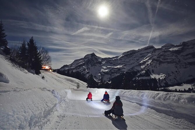 Night Sledding and Fondue Feast Interlaken - Starting at the Fondue Villa and Garden