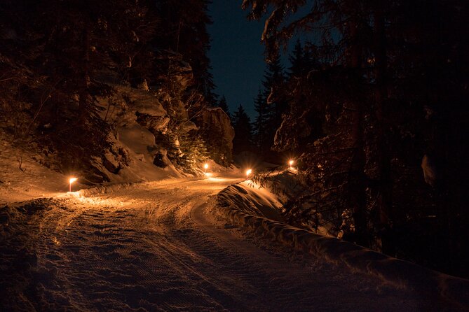 Night Sledding from Interlaken - Clothing and comfort: rent instead of packing