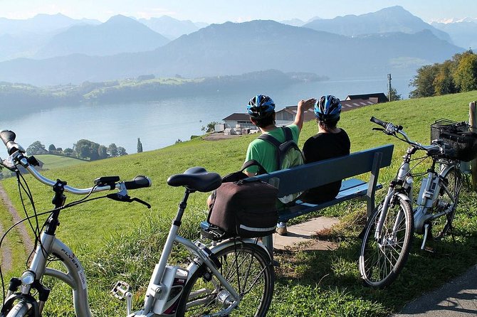 Panoramic E-Bike Tour with a Lake Cruise - Riding into the Swiss Knife Valley