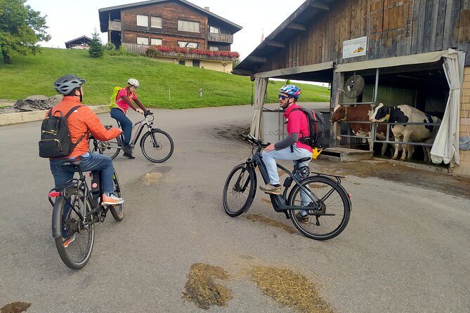 Panoramic E-Bike Tour with a Lake Cruise - Should you book the Panoramic E-Bike Tour?