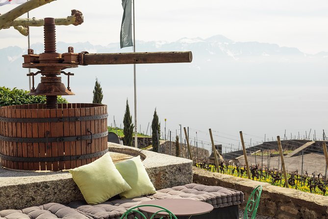 Panoramic Wine Tour From Lausanne - The guides and the personal touch