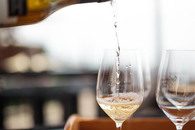 Panoramic Wine Tour From Lausanne - The panoramic ride from Montreux