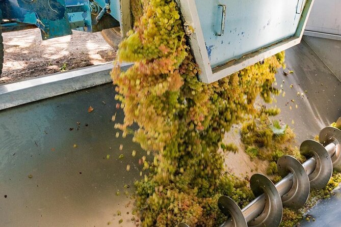 Pinot Noir & Pinot Wine Tour to Baden-Württemberg - From Basel to Bad Krozingen by private vehicle
