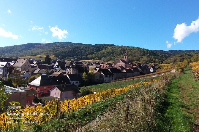 Pinot Noir & Pinot Wine Tour to Baden-Württemberg - Colin’s personal connections add something special