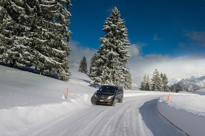 Private Arrival Transfer: from Zurich Airport to Flims - Key points before you book