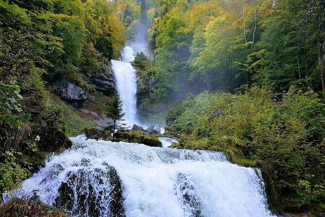Private Day tour from Interlaken: Lake, Gorge & Waterfall - Brienz: chalets, woodcarving, and family options