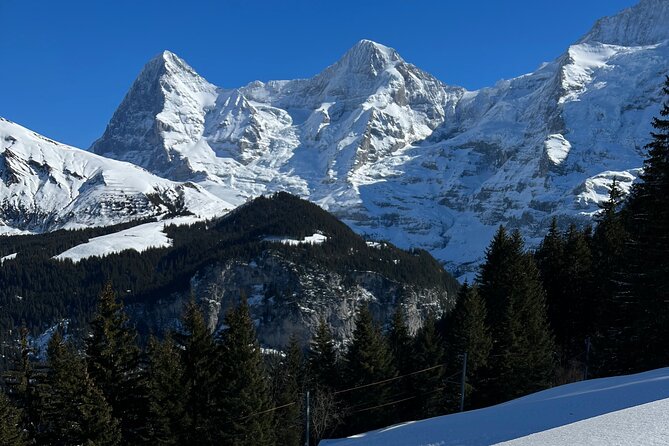Private Day Trip in the Heart of the ALPS - Jungfrau Region - Leaving Zurich for the Jungfrau Region