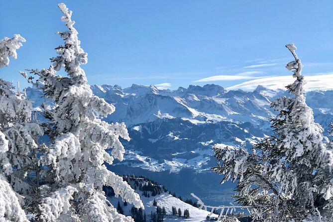 Private Day Trip in the Heart of the ALPS - Jungfrau Region - Gimmelwald, the quieter final village