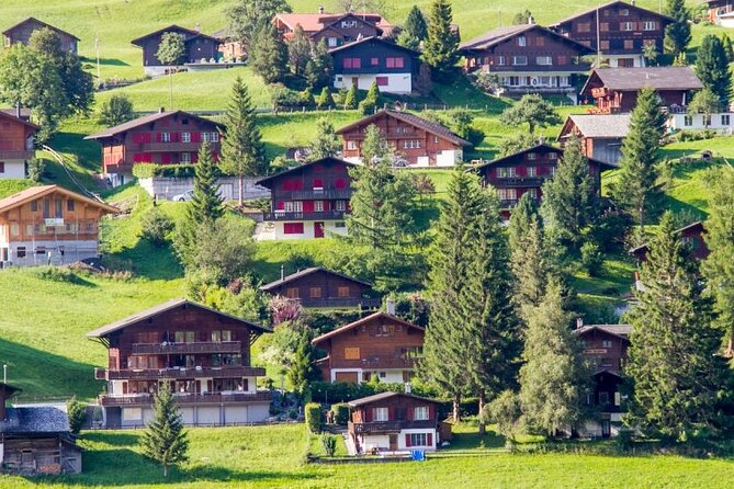 Private Day Trip to Harder Kulm and Grindelwald - Who should book this experience?