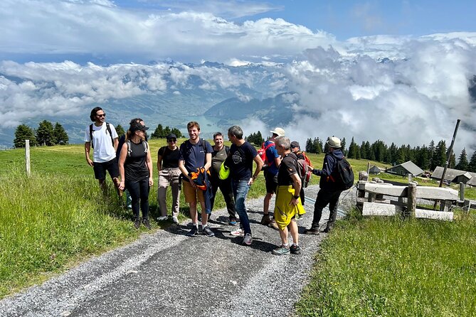 Private Guided Hike on Mt. Rigi with Farm Visit and BBQ - Who should book this private outing