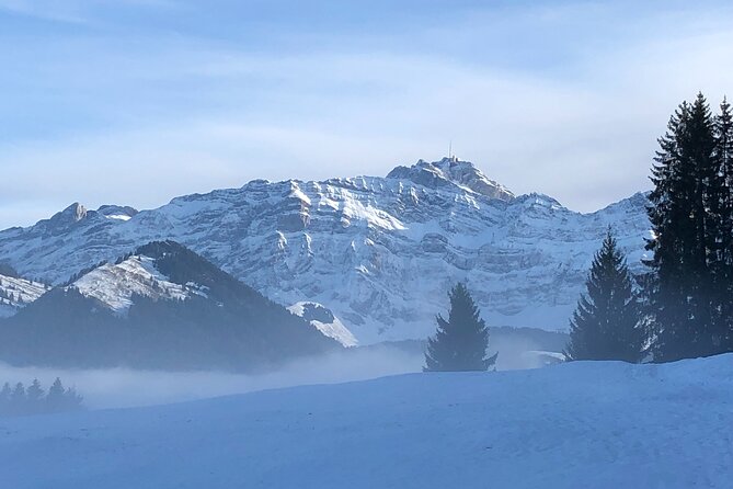 Private Guided Swiss Alps Day Trip from Zurich with Hotel Pick-Up - What the Private Vehicle and Guide Add