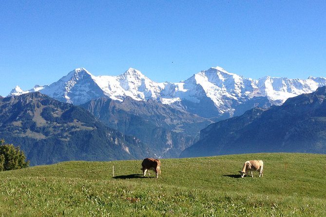 Private Interlaken and Jungfrau Region tour from Lucerne or Berne - Five things to know before you book