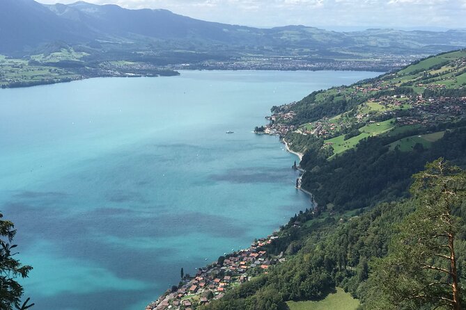Private Sightseeing Boat Trip on Lake Thun, Interlaken - Who will enjoy this private cruise most?