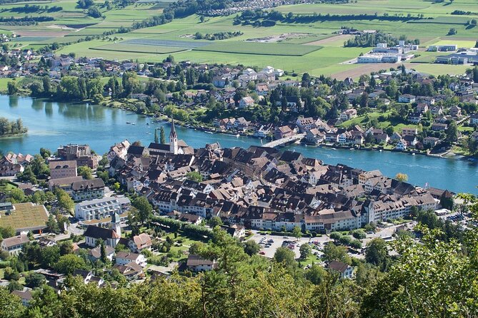 Private tour from Zurich to Rhine Falls and Stein am Rhein - Timing, comfort, and the best way to use the day