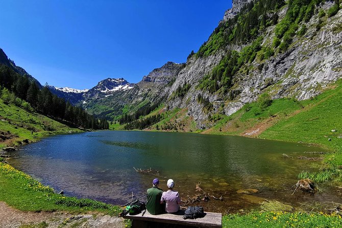 Private tour to the most breathtaking insider spots in Switzerland (1 day) - Lake Zurich sets the scene