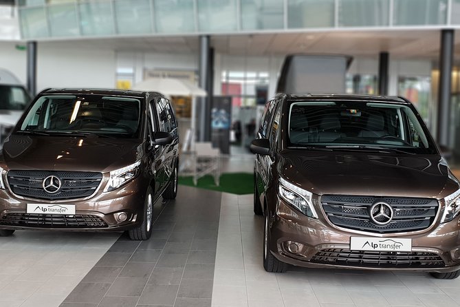 Private Transfer from Grindelwald to Zurich Airport - Luggage, skis, and child seats