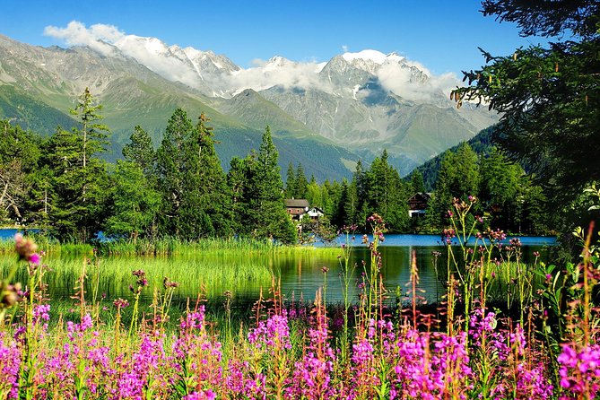 Private Trip from Geneva to Swiss Riviera Montreux & Chamonix - Why This Geneva Day Trip Makes Sense