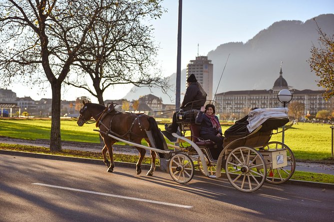 Private Trip from Geneva to the Swiss Capital - Bern & Paragliding in Interlaken - Arriving in Interlaken for the main thrill
