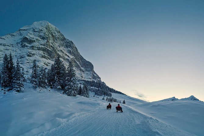 Private trip from Zurich to Jungfraujoch (The Top of Europe) - Key points to know before booking