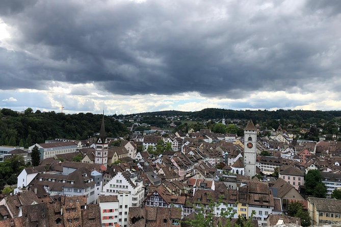Rhine Falls and Stein am Rhein (Private Tour) - Why this Zurich day trip works well