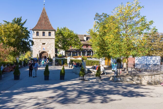 Rhine Falls Coach Tour incl. entry tickets from Zurich - Should you pay extra for the Rhine Falls boat?
