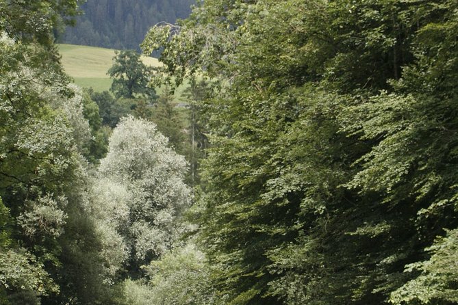 River Rafting Simme with OUTDOOR - From Interlaken to the Simme River
