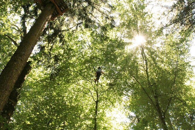Ropes Park Interlaken - Key points to know before you climb