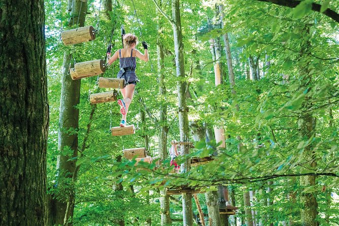 Ropes Park Interlaken - A forest adventure close to Interlaken