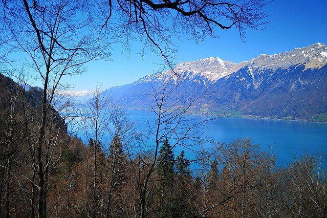 Sail to Basel and then explore either Bern, Luzern, Zurich or the Swiss Alps. - Walking, timing, and practical planning