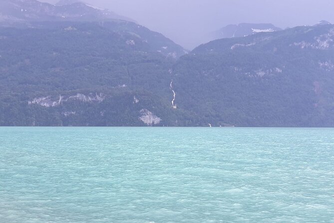 See It All Sightseeing Tour Tickets incl. From Bern + Interlaken - Brienzwiler, cows, and Brünig Pass