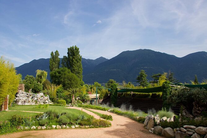 Skip the Line: Falconeria Locarno Ticket - Why families tend to like this visit