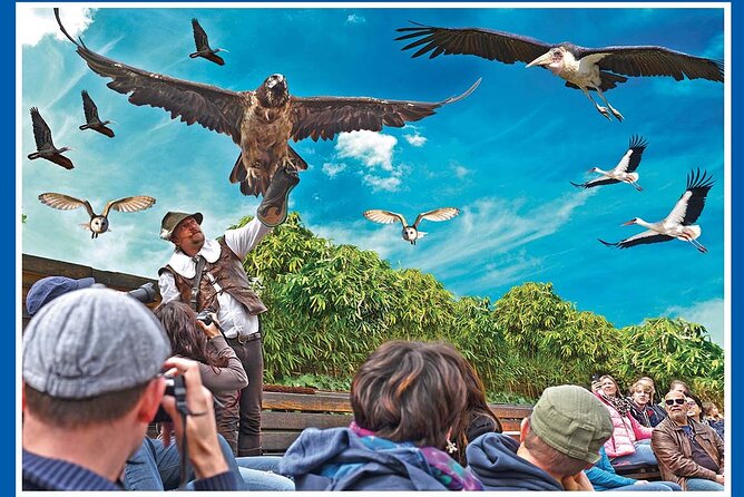 Skip the Line: Falconeria Locarno Ticket - Getting there and planning your time