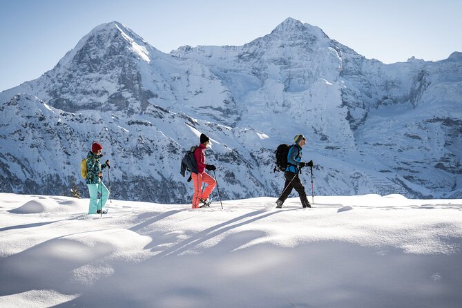 Snowshoe Adventure in the Swiss Alps - Learning from guides Konstantin, Aleksei, and Danny