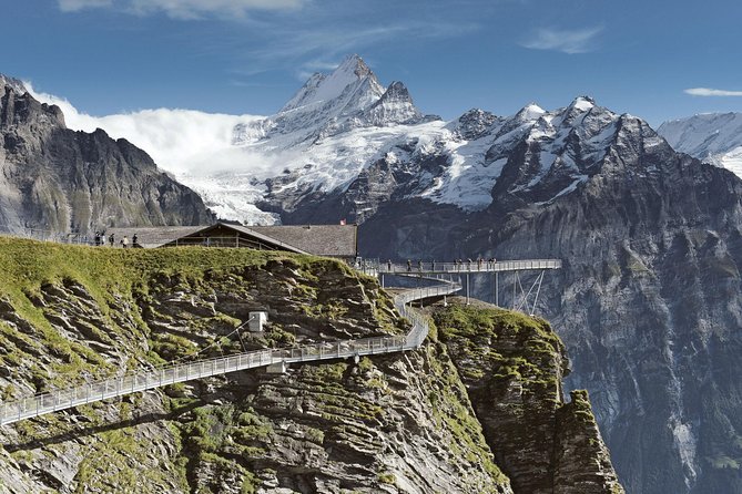 Swiss Alps: Interlaken and Grindelwald Day Trip from Zurich - What the Guide Adds, and Where the Tour Falls Short