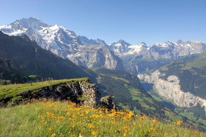 Swiss Alps: Interlaken and Grindelwald Day Trip from Zurich - Is $130.45 a Fair Price?