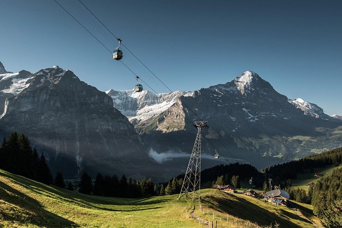 Swiss Alps: Interlaken and Grindelwald Day Trip from Zurich - Who Will Enjoy This Day Trip?