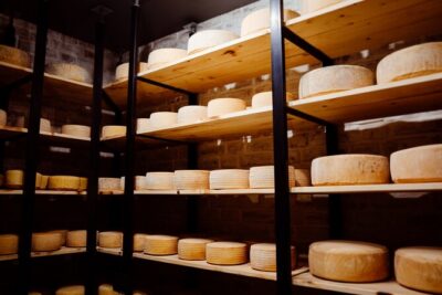 Swiss Cheese Tasting Experience | Basel