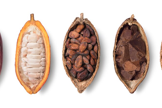 Swiss Chocolate Tasting Experience | Basel - Six chocolates, different cacao regions